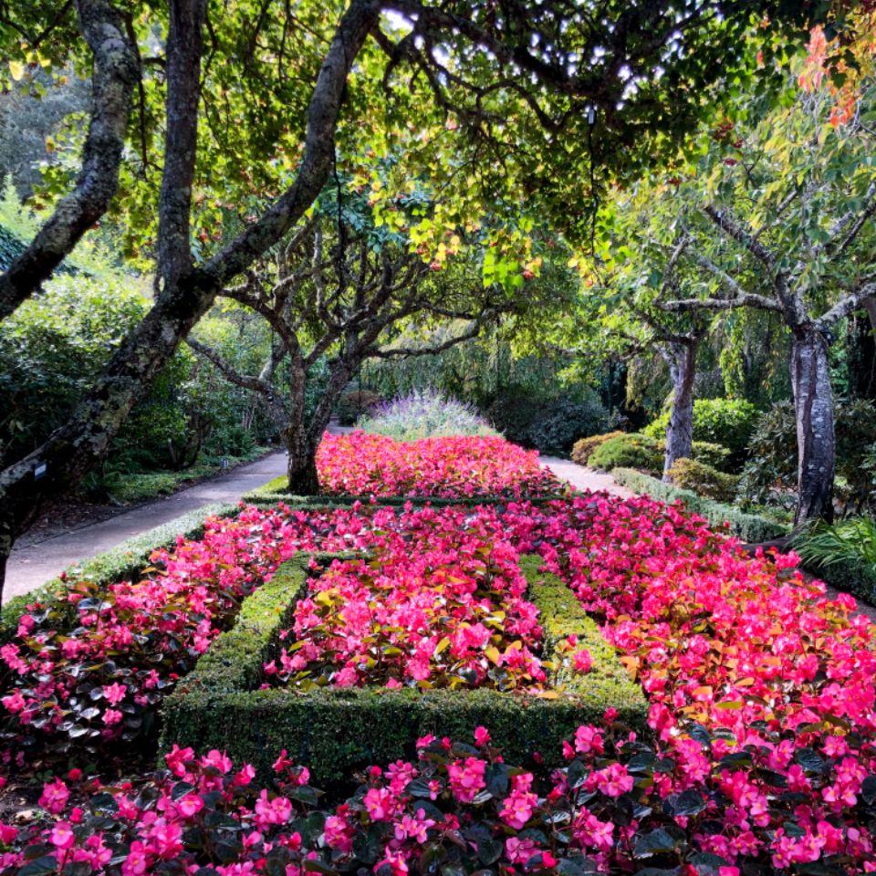 The planted gardens on the grounds